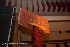 20190209-Prunksitzung01-gb-30263