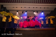 20190209-Prunksitzung01-gb-30469