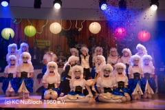 20190209-Prunksitzung01-gb-30666